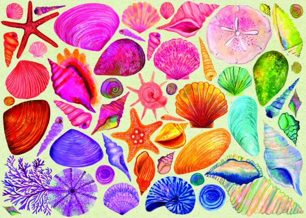elena essex seashells 1000 piece jigsaw puzzle
