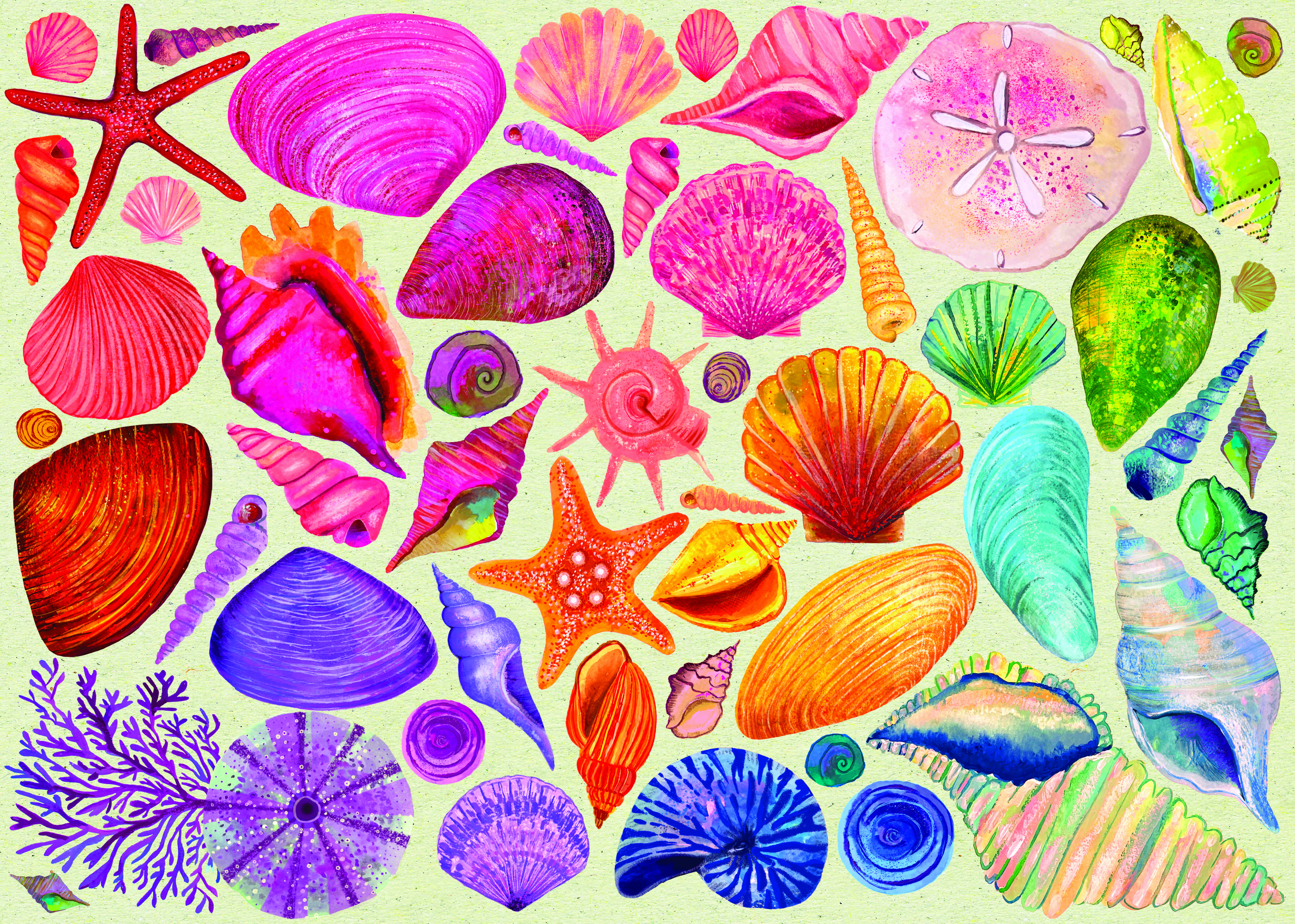 elena essex seashells 1000 piece jigsaw puzzle
